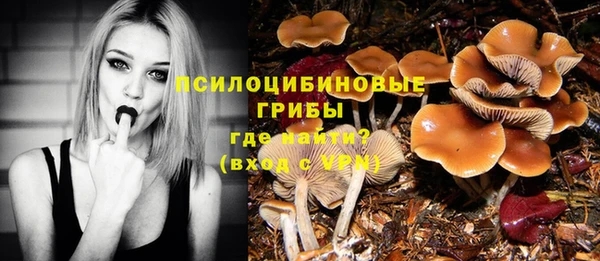 гидропоника Саяногорск